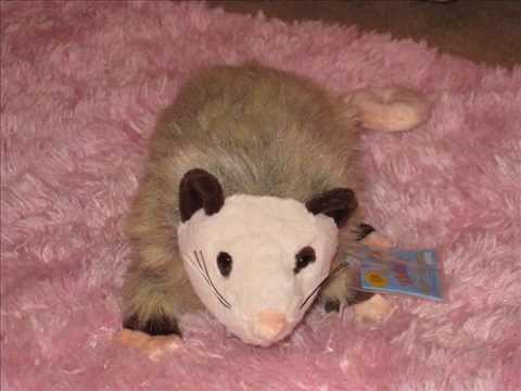 Webkinz opossum cat